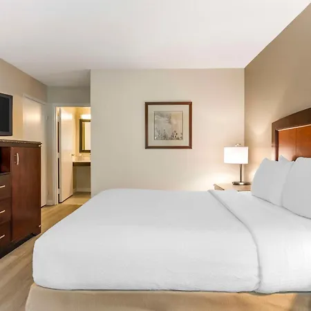 Best Western Lexington Inn Exterior photo